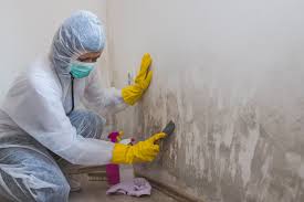 Mold Remediation for Rental Properties